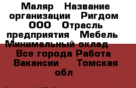 Маляр › Название организации ­ Ригдом, ООО › Отрасль предприятия ­ Мебель › Минимальный оклад ­ 1 - Все города Работа » Вакансии   . Томская обл.